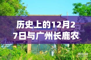 廣州長鹿農莊實時路況與歷史上的12月27日回顧