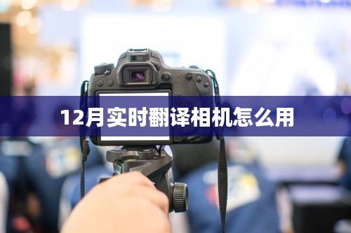12月實時翻譯相機使用指南