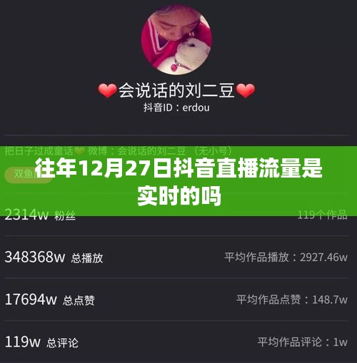抖音直播流量歷年數(shù)據(jù)解析,直播流量實時性探討