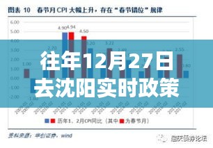 沈陽實時政策查詢指南,往年12月27日政策解讀