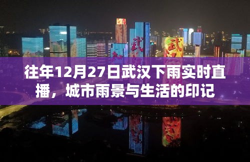 武漢雨景直播,城市雨天的生活印記