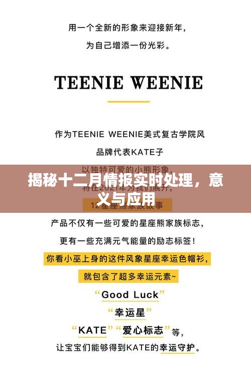 揭秘十二月情報(bào)實(shí)時(shí)處理應(yīng)用及其重要性