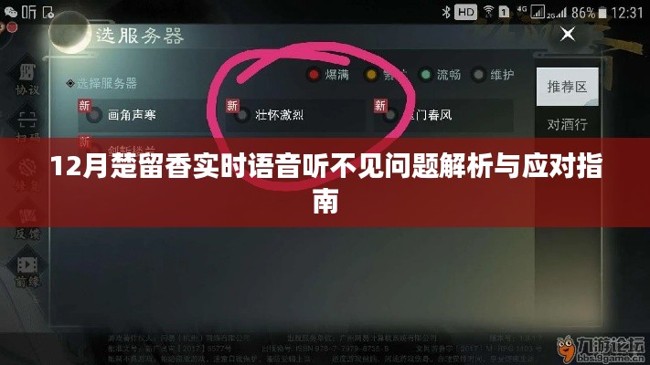 楚留香語音問題解析與應對指南,實時語音聽不見怎么辦