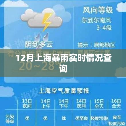 上海暴雨實時更新,最新天氣動態查詢