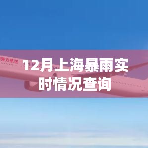 上海暴雨實時更新,最新天氣動態(tài)查詢