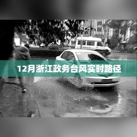浙江政務(wù)臺風(fēng)實時路徑播報
