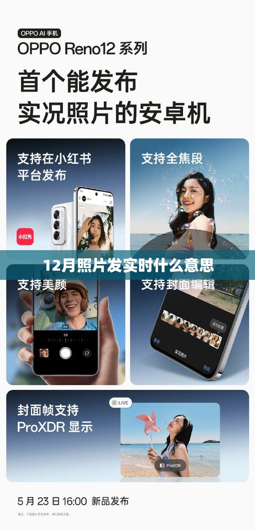 貴冠履輕頭足 第4頁