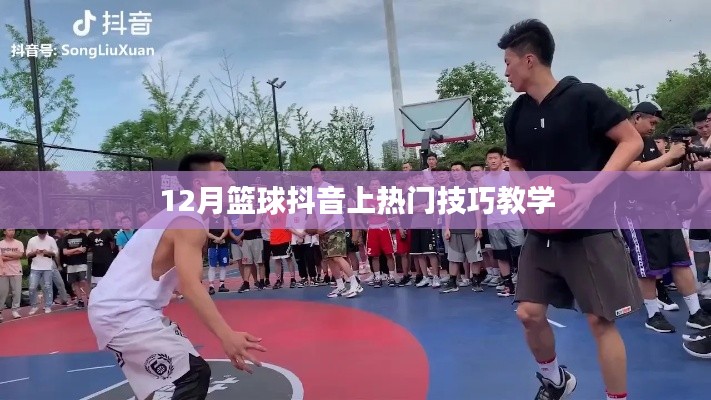 籃球抖音熱門技巧教學,12月實戰攻略
