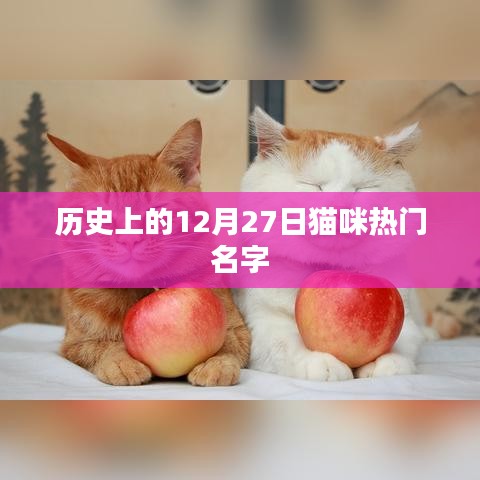 貓咪名字史上的熱門時刻,探尋貓咪名字變遷的歷程