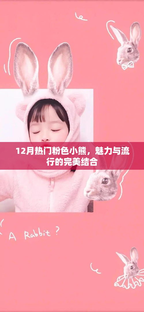 12月流行粉色小熊魅力爆棚,時尚之選