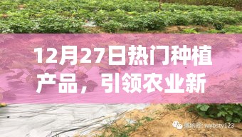 12月27日熱門種植產品,農業新風潮引領者