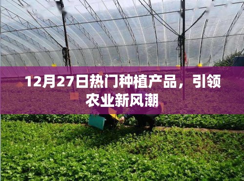 12月27日熱門種植產品,農業新風潮引領者