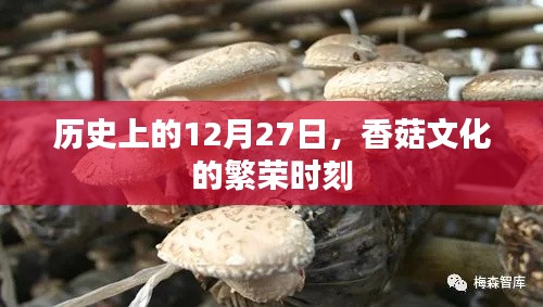 香菇文化繁榮時刻,歷史12月27日回顧