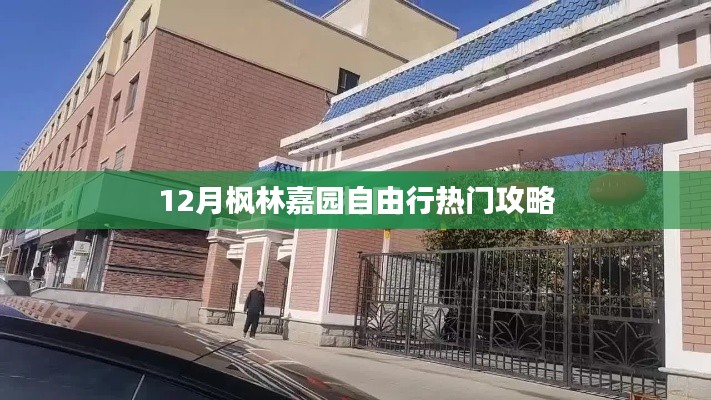 12月楓林嘉園游玩攻略,自由行必知