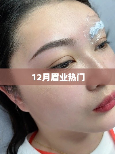 12月眉業熱點大盤點