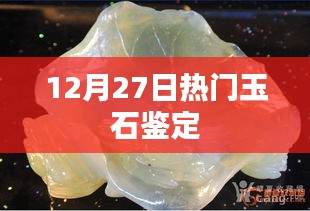 玉石鑒定熱點解析,12月27日最新資訊