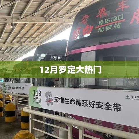 羅定熱點新聞，揭秘十二月大熱門事件