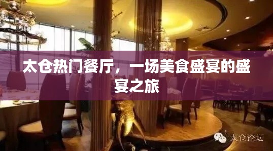 太倉美食盛宴,熱門餐廳探秘之旅
