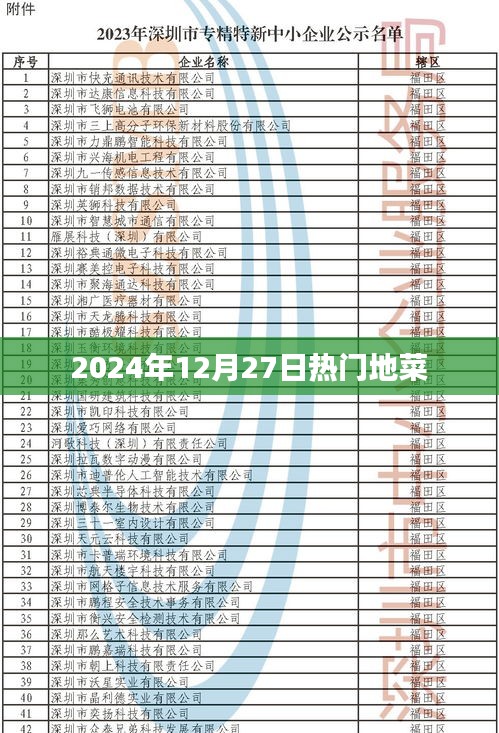2024年12月27日熱門地菜大盤點