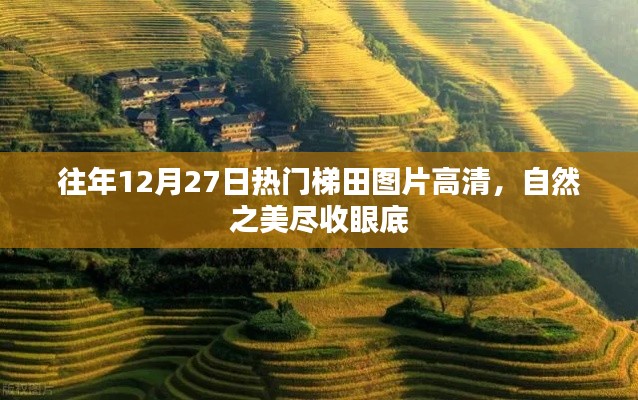 往年12月27日梯田美景高清圖，自然韻味盡收眼底