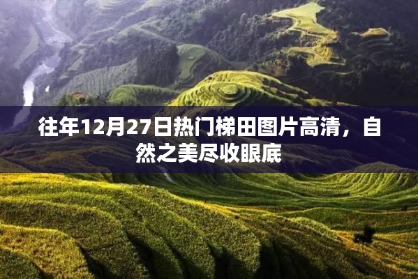 往年12月27日梯田美景高清圖,自然韻味盡收眼底