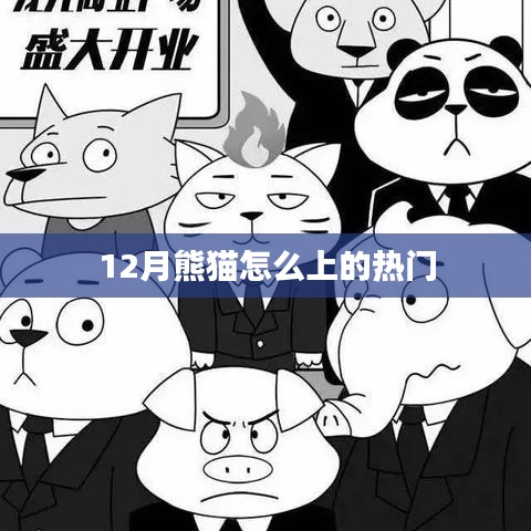 熊貓12月熱門背后的故事