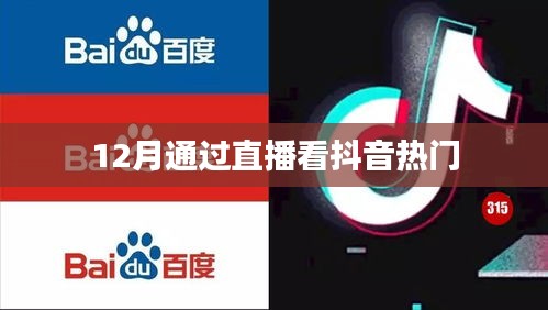 12月直播熱門抖音,不容錯過!