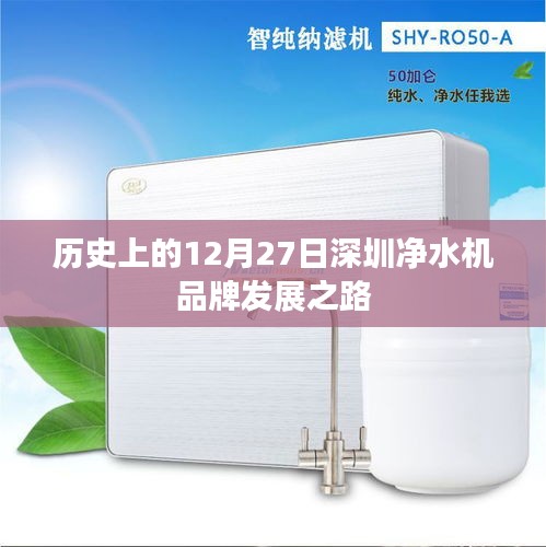 真獨(dú)簡貴 第4頁