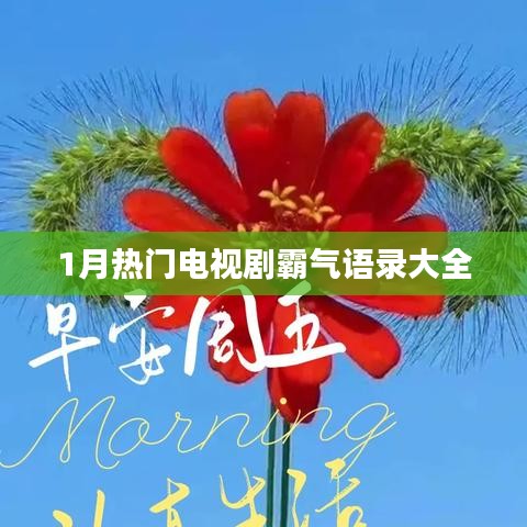 一月熱播劇霸氣臺詞盤點