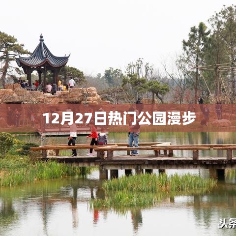 12月27日公園漫步,盡享自然之美