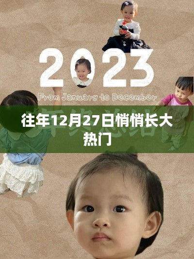 年終倒數(shù)時(shí)刻,揭秘十二月二十七日的熱門秘密