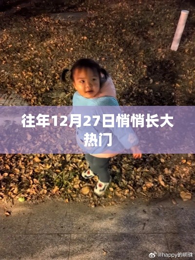 年終倒數時刻,揭秘十二月二十七日的熱門秘密