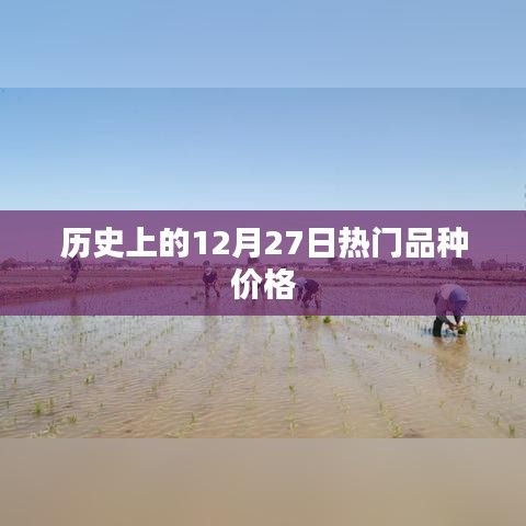 歷史上的熱門品種價格變動分析