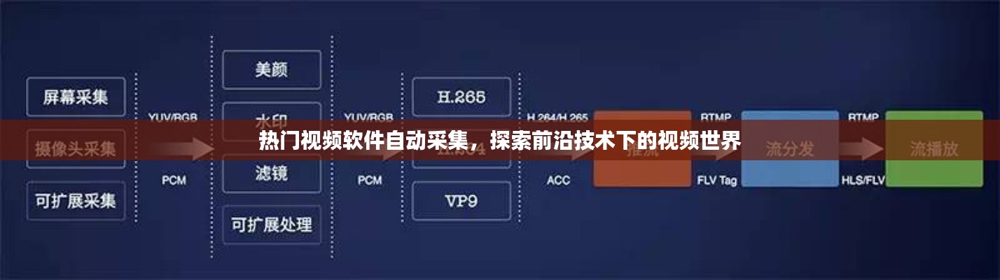 熱門視頻軟件自動采集,探索視頻技術前沿