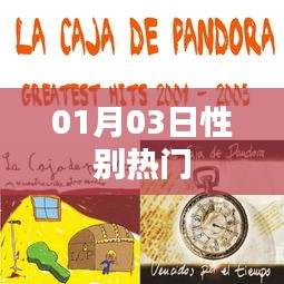 性別話題熱議，最新動態(tài)一網(wǎng)打盡（01月03日）