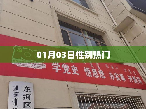 性別話題熱議,最新動態(tài)一網(wǎng)打盡(01月03日)