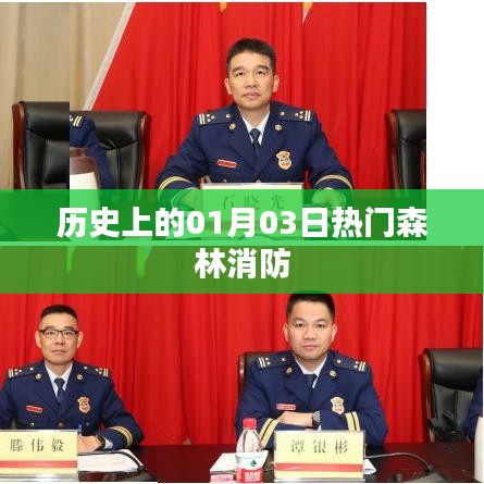 森林消防歷史上的重要日子,一月三日熱門事件回顧