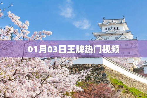 王牌熱門視頻盤點,最新熱門視頻精選