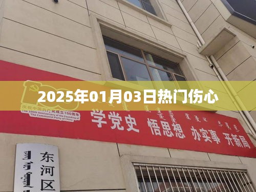 『2025年1月3日,那些令人心碎的瞬間』