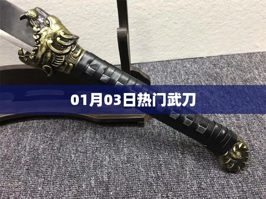 熱門武刀,最新動態與資訊聚焦 01月03日