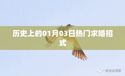 歷史上的求婚秘籍,一月三日求婚攻略