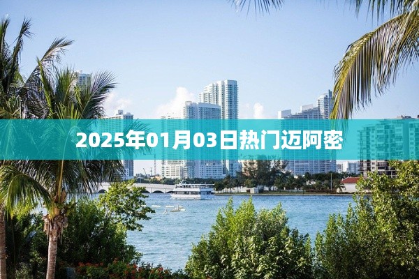 邁阿密2025年元旦熱門活動(dòng)日
