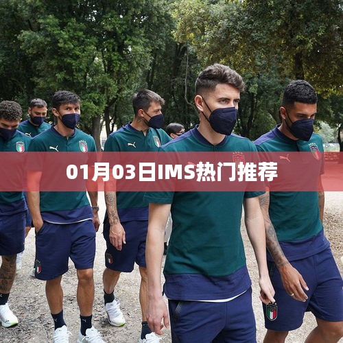 IMS熱門推薦,最新動態揭秘