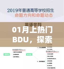 探索最新趨勢與熱點(diǎn)話題,一月熱門BDU解析