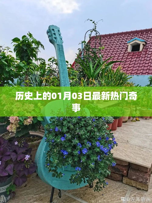 歷史奇聞揭秘,一月三日最新熱門事件回顧