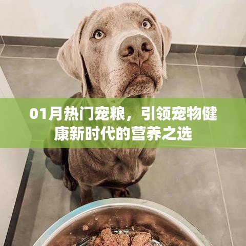 熱門寵糧引領新時代,寵物健康營養之選