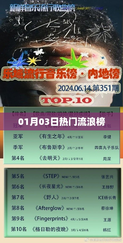 熱門(mén)流浪榜最新動(dòng)態(tài),01月03日更新