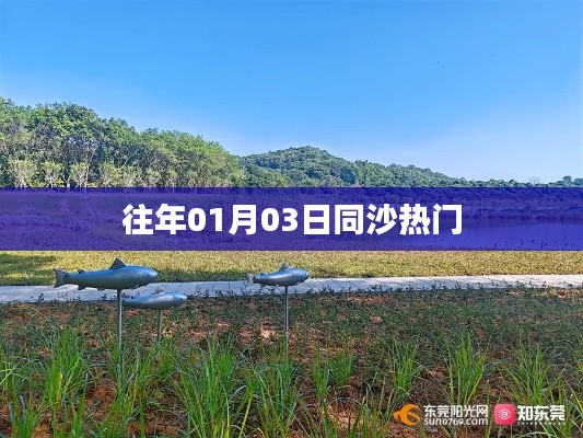 同沙熱點速遞,歷年一月三日盛況回顧