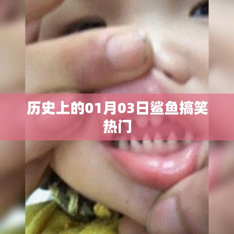 歷史上的鯊魚搞笑瞬間,一月三日歡樂回顧