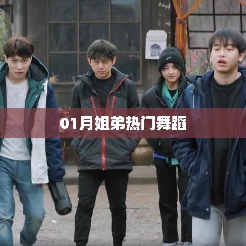 熱門舞蹈,一月姐弟熱舞盤點